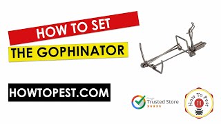 How To Set The Gophinator Gopher and Mole Trap [upl. by Ian]