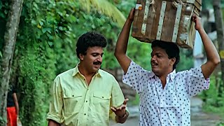 സിദ്ദിഖ് ജഗദിഷ് കൂട്ടുകെട്ടിലെ പഴയകാല കോമഡി   Malayalam Comedy Scenes  Jagadish  Siddique [upl. by Htirehc]