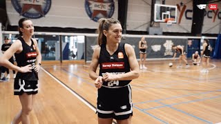 Harvey Norman player spotlight Isabella Brancatisano [upl. by Gosnell]