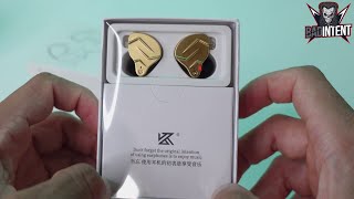 KZ ZSN Pro X Review [upl. by Notlrak431]