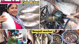 Ahmedabad Fish MarketBig Size￼Hilsailish Fish In Gujarat Teen Darwaza Vegetable amp NonVeg Market [upl. by Aroon]