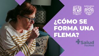 ¿Cómo se forma una flema [upl. by Aihseym377]