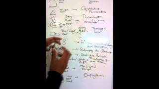 XRay Appearances Of Heart  Mnemonics [upl. by Melquist615]