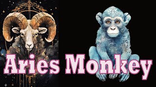 Aries Monkey Discussion [upl. by Nadaha]