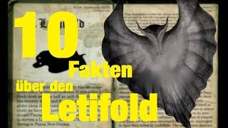 10 FAKTEN über den LETIFOLD [upl. by Jo]