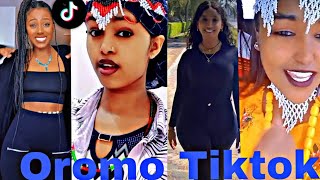 Sirba afaan oromoo haaraa 2023 Oromo music  Oromotiktok [upl. by Gent]