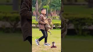 Bachha khel raha tiger ke bacche ke sath cute tiger youtube trending love [upl. by Ytirev419]