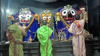 Shri Jagannath Sandhya Arati Darshan 🙏  📅 Date 25Feb2024 [upl. by Enyrehtac694]