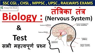 Gk  Nervous System  तंत्रिका तंत्र  For SSC CGL  CHSL  UPSC  RAILWAYS EXAMS [upl. by Ronoh]