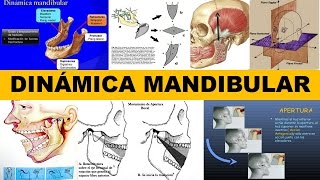 quotDINÁMICA MANDIBULARquot por el Dr Hugo Pérez Suasnabar [upl. by Rillis921]