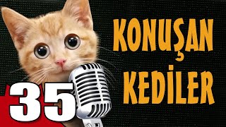 Konuşan Kediler 35  En Komik Kedi Videoları [upl. by Grant]