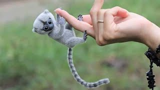 10 Cutest Exotic Animals In The World [upl. by Nadnarb564]