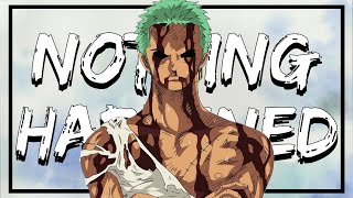 One Piece Analysis  Roronoa Zoro Swordsmanship and Stoicism Nothing Happened [upl. by Ayek]