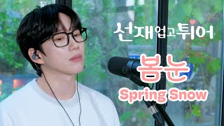 10CM  십센치  선재 업고 튀어 OST 봄 눈  Spring Snow [upl. by Leese]