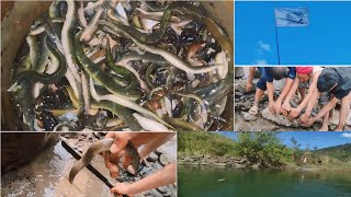 ZDU picnic  Fishing Ngairi River eel fishing fishingvideo [upl. by Eicnahc860]