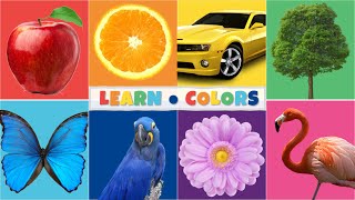 COLORS Song  Colors for Kids [upl. by Cordalia710]