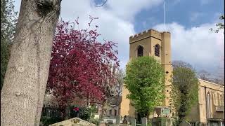 St Mary Walthamstow  Part of a Peal of Grandsire Caters  15 Apr 2023 [upl. by Artemus]