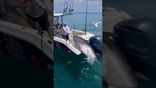 quotMassive Tuna Caught on Rod Epic Fishing Struggle in the SeaFishing Pesca Pêche Angeln Pesca [upl. by Giuditta]