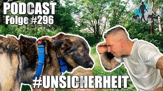 Der unsichere Hund [upl. by Medea65]