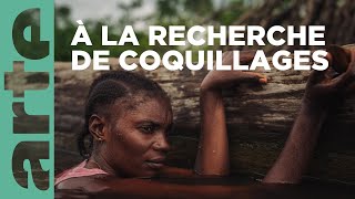 Plongée au coeur du delta du Congo  360° Reportage  ARTE Family [upl. by Aivull327]