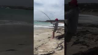 Beach fishing in southaustralia explore [upl. by Zsazsa]