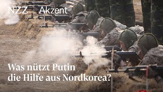 Was nützt Putin die Hilfe aus Nordkorea  NZZ Akzent [upl. by Mcclenaghan]