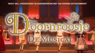 Doornroosje de sprookjesmusical [upl. by Cristy]