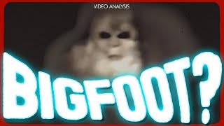 Pennsylvania White Bigfoot Video DECODED [upl. by Yaner]