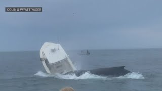 Whale slams fishing boat off New England coast causing it to capsize [upl. by Auqinihs913]