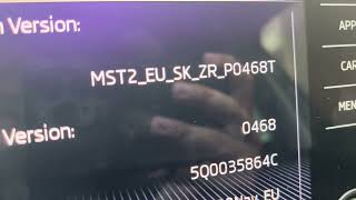 How to find the hidden Menu to see your navi version on MIB2 Nav systems Skoda VW Seat [upl. by Sosna202]