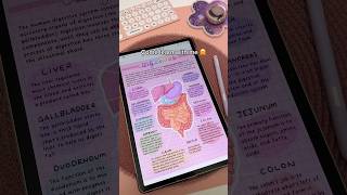 How I take aesthetic digital notes ✏️💗 Penly app  Samsung galaxy tab S9  aesthetic notes [upl. by Wallford]