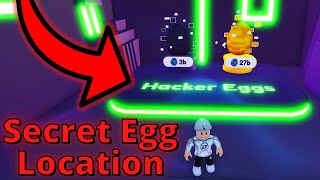 New SECRET Hacker Egg Location  Roblox Pet Simulator X [upl. by Ahsikrats]