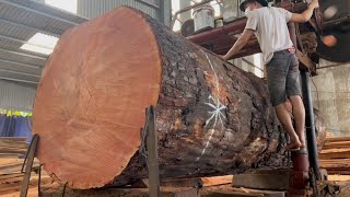 Extreme Equipment For Processing Forests  Woodcutters Chainsaws  Machine Tools Choppers Of Trees [upl. by Notneb]