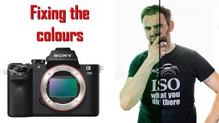 Fixing the colour settings on the Sony A7III [upl. by Llevaj]