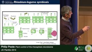 Philip Poole Plant Control of the Rhizosphere Microbiome [upl. by Wilmer]