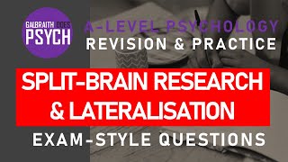 SplitBrain Research amp Lateralisation  Exam Questions amp Revision  ALevel  AQA Psychology [upl. by Adniroc]