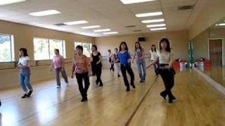 D H S S Line Dance Demo amp Walk Through [upl. by Georgetta]