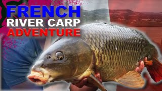 River Carp Fishing in France 🇫🇷 🥖 🎣 [upl. by Sidras]