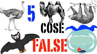 5 Cose False su gli Animali  CURIUSS [upl. by Tressia]