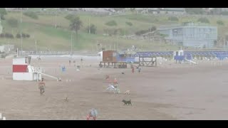 Mar del Plata Cuánto necesita una familia para veranear [upl. by Adnarrim]