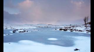 Ludovico Einaudi plays Two Trees Photography by Pianopod In a Time Lapse Piano Solo [upl. by Hafeenah]