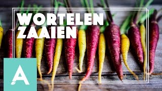 Wortelen zaaien  Grow Cook Eat 17 [upl. by Annnora]