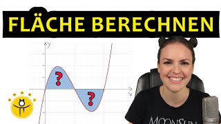 FLÄCHE berechnen INTEGRAL – Integralrechnung Flächenberechnung [upl. by Sille]