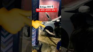 Maruti Ertiga viral video Python Snake found manishbhardwaj ertigavxicng maruticars shorts [upl. by Elvin]