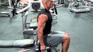 Seated Dumbbell Curl [upl. by Alodee]