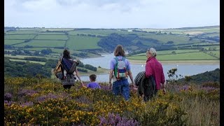 The Flora and Fauna of Exmoor National Park England UK [upl. by Rea]