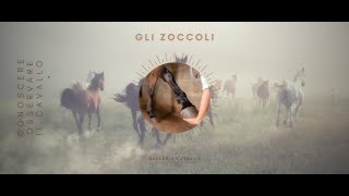 ♘ Cavalli  Gli Zoccoli [upl. by Derman]