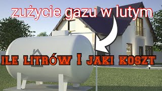 30dni ogrzewania gazem  Ile wyszło w lutym Jaki koszt [upl. by Esilegna]