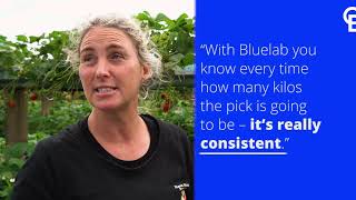 Black Stump Farms Case Study  50 increase in yield with Bluelab [upl. by Earesed]