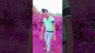 Hello Bhai video to live concert [upl. by Inihor]